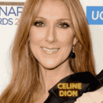 Celine Dion Voice Classification: Expert Analysis and Insights (2024)